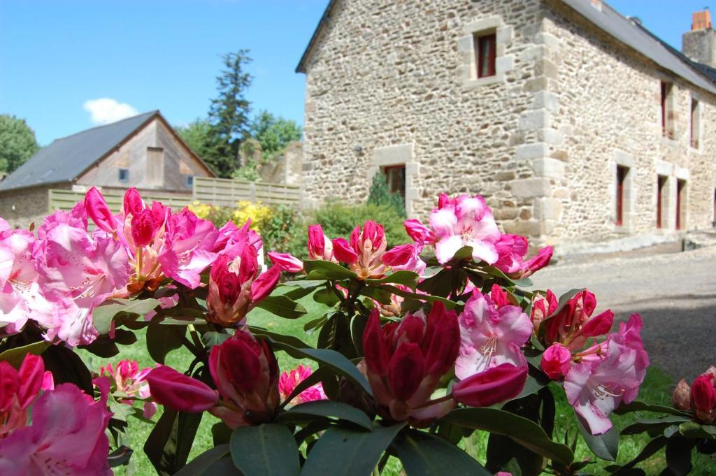 Maison D'Hotes & Gites Domaine De La Garaye Dinan Ngoại thất bức ảnh